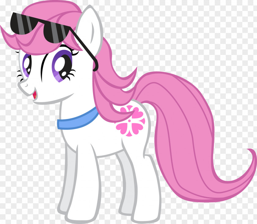 Little Pony My Pinkie Pie Sunset Shimmer Equestria PNG