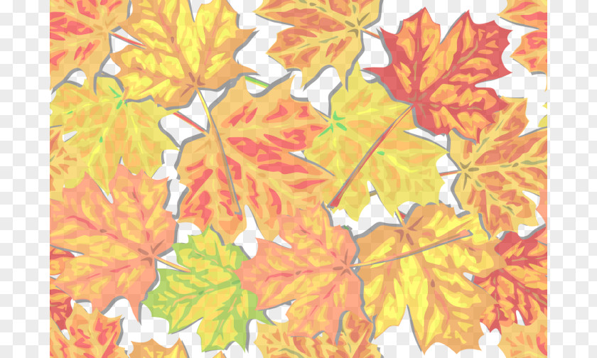Starch Cliparts Autumn Leaf Color Clip Art PNG