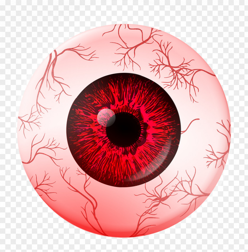 Veins Red Eye Extraocular Muscles Human Movement PNG