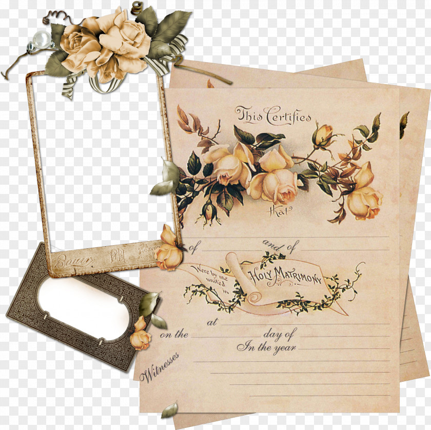 Vintage Paper Roses Frame Clothing Picture Flower PNG