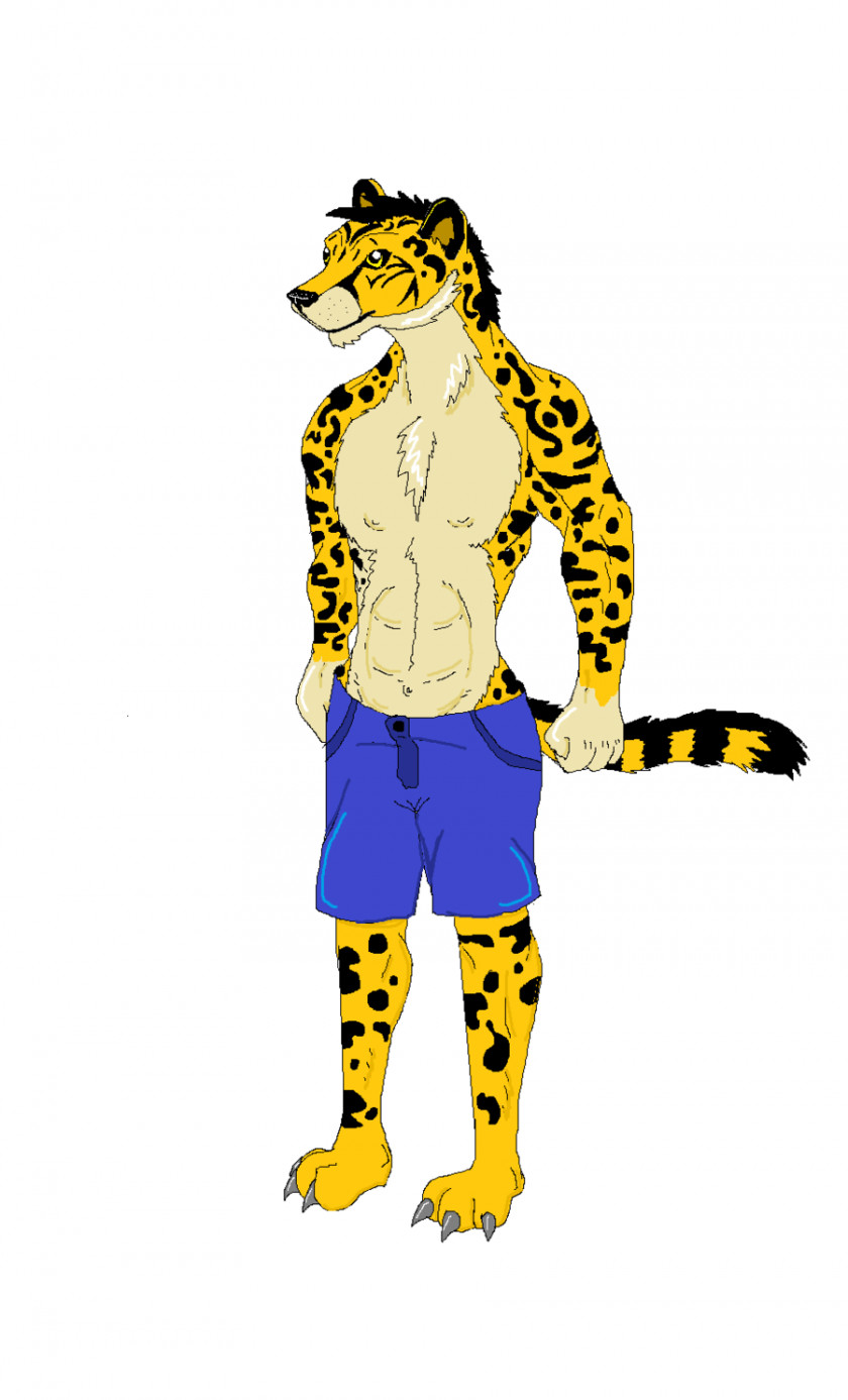Cheetah King Cat Mammal PNG