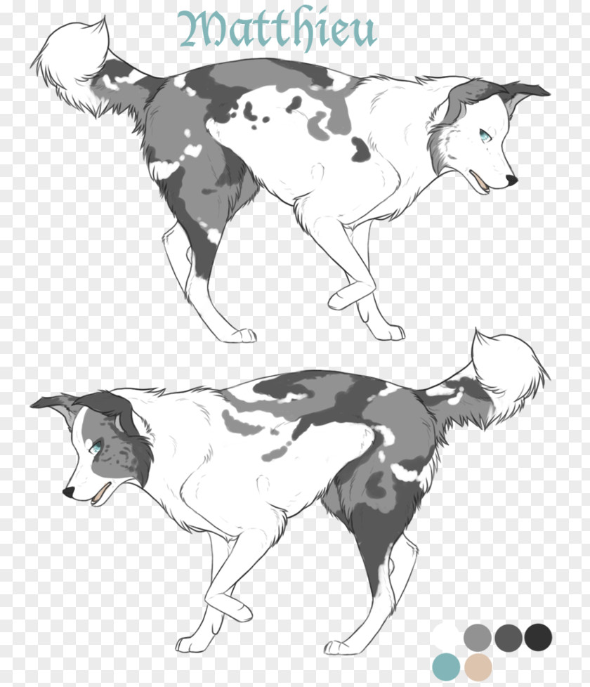 Dog Breed Cat Sketch PNG