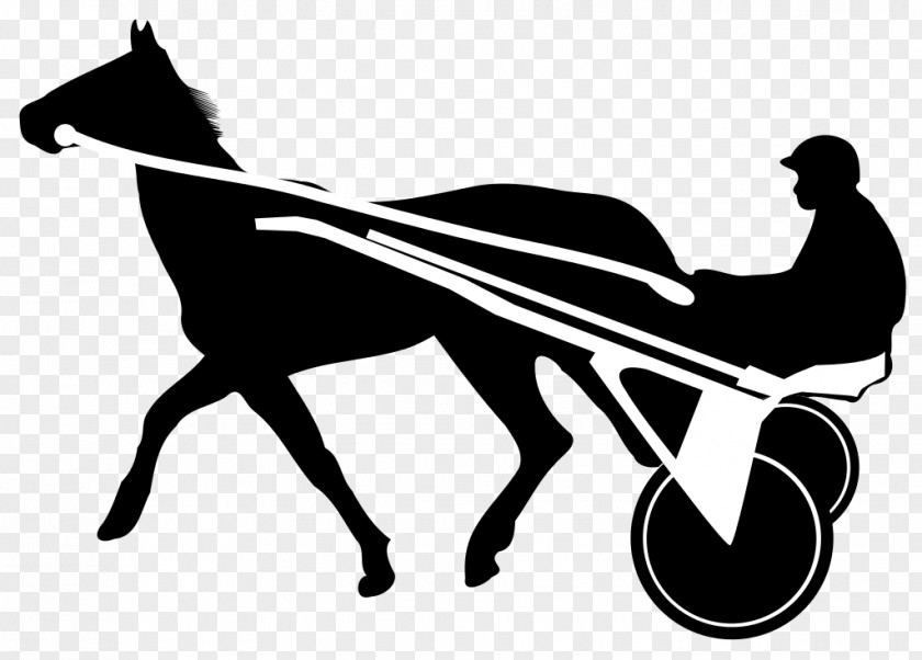 Horse Race Trot Harness Racing Clip Art PNG