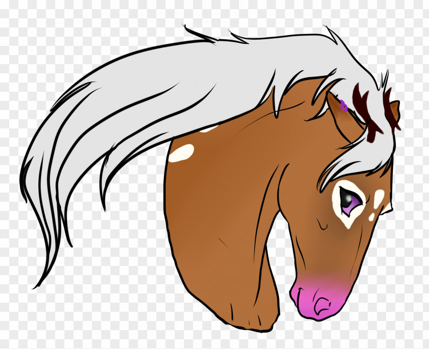 Canter And Gallop Mane Mustang Cat Dog Snout PNG
