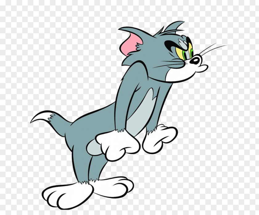 Cat Tom Jerry Mouse And Garfield PNG