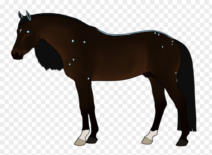 Dream Catcher Horse Tack Stallion Pony Bridle PNG