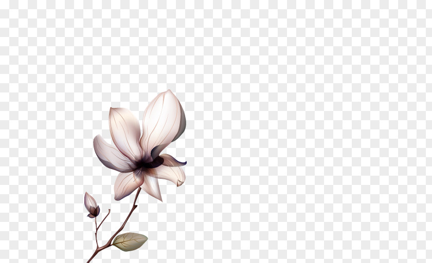 Flower Clip Art Image Illustration Photograph PNG