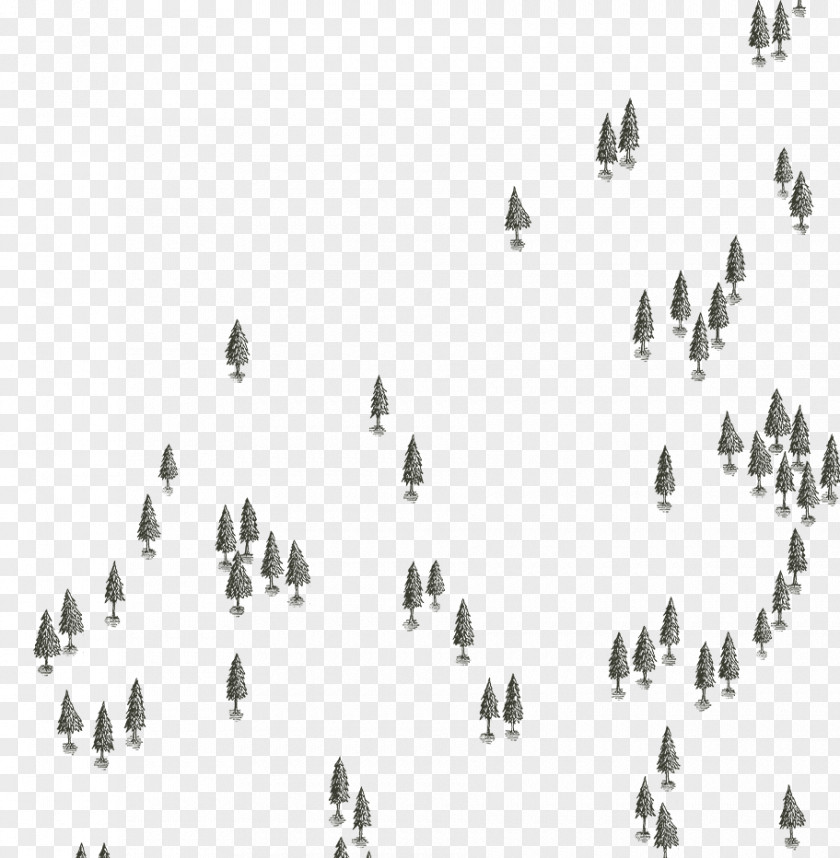 Line Angle Font Tree PNG