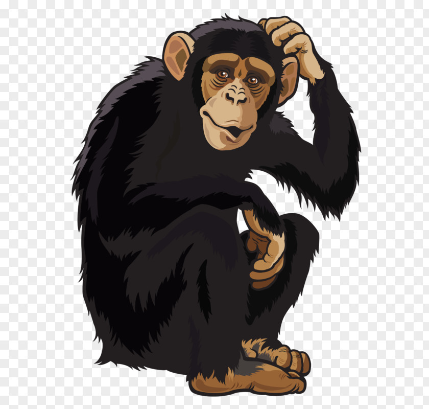 Orangutan Monkey Clip Art PNG