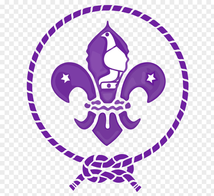 Scout Scouting World Organization Of The Movement Group Emblem Scouts South Africa PNG