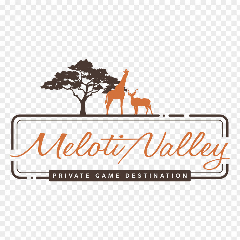 Wedding Meloti Valley Reception Game Logo PNG