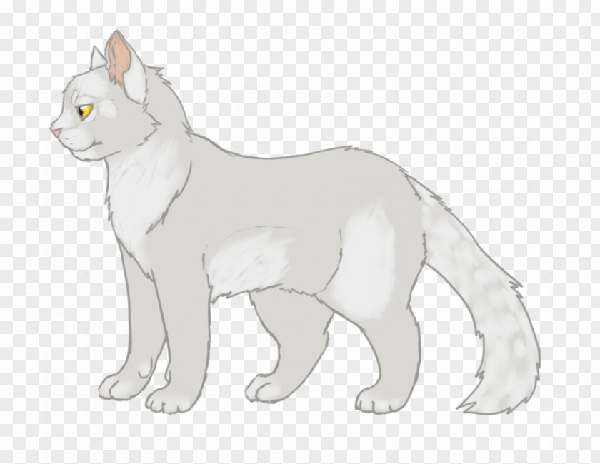 Cat Whiskers Whitestorm Warriors Brindleface PNG