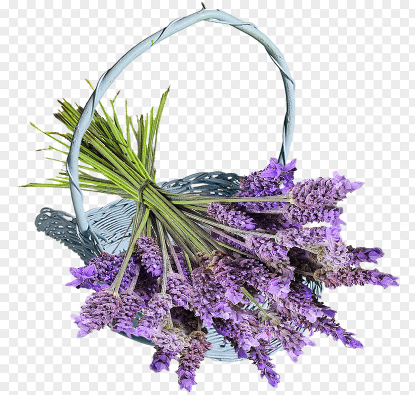 Desktop Wallpaper Flower Blog Lavender PNG