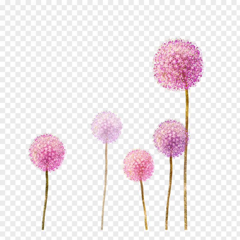 Flower Common Dandelion Drawing Clip Art Image PNG