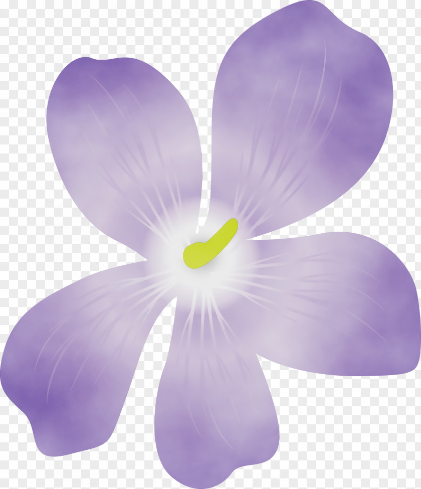 Lavender PNG