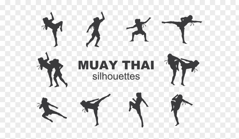 Striped Thai Silhouette Muay Drawing PNG