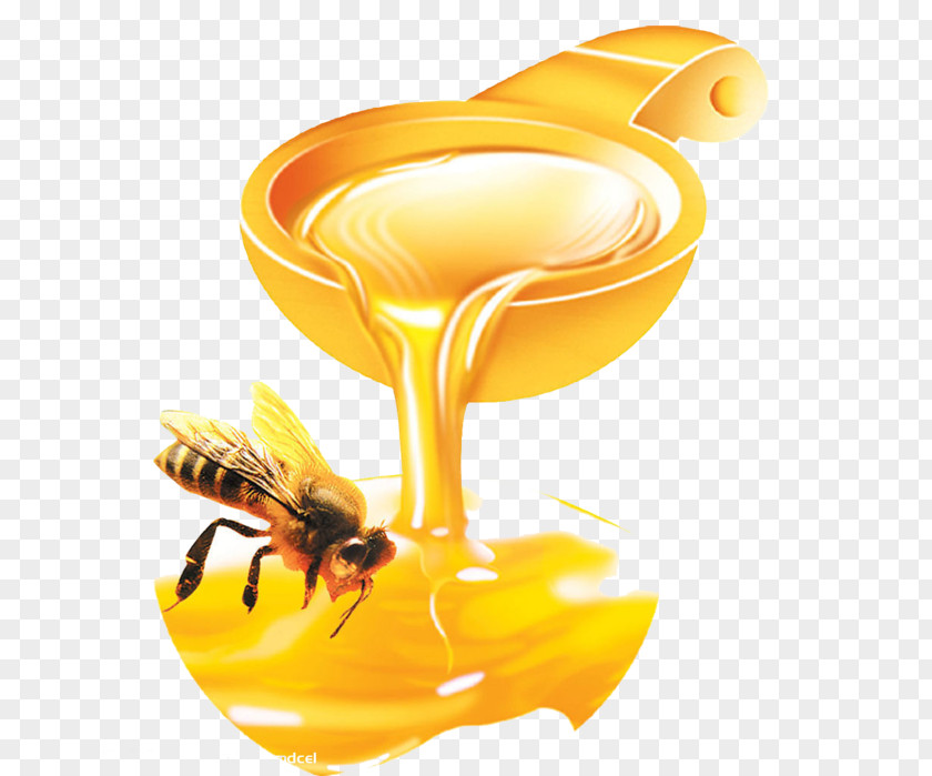 Bee Western Honey Royal Jelly Monofloral PNG