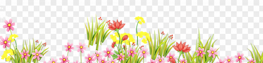 Cut Flowers Floral Design Spring PNG