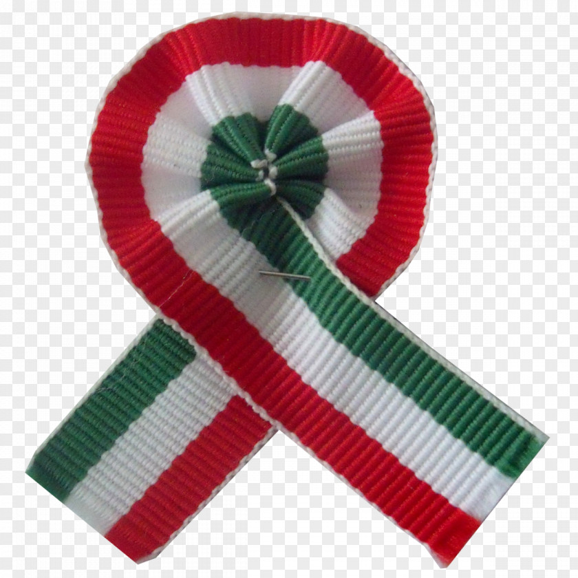 Ribbon Hungarian Revolution Of 1848 Cockade 1956 Nemzeti Dal PNG