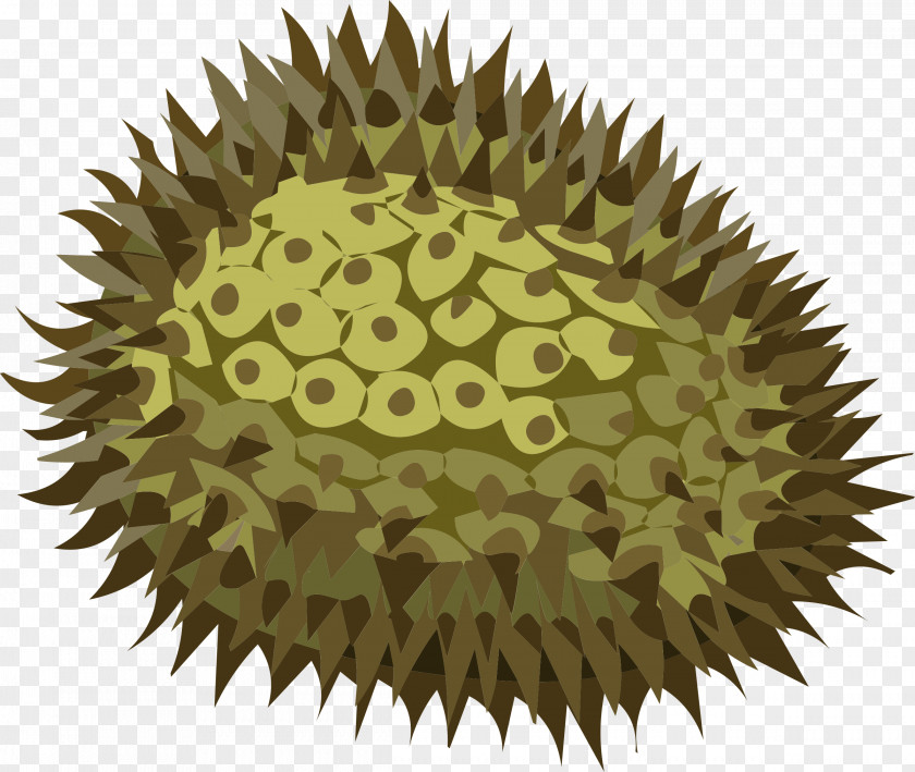 Fruit Durian Durio Zibethinus Clip Art PNG