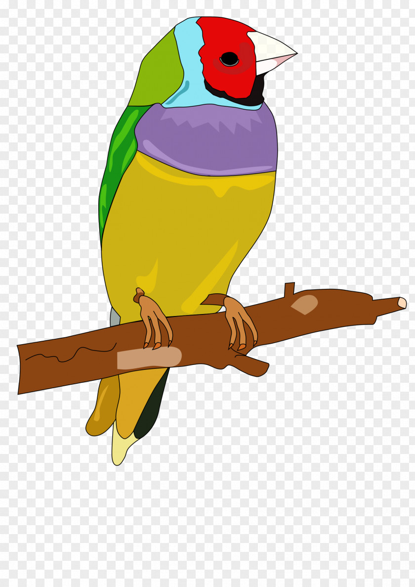 Parrot Toy Cliparts Bird Owl Clip Art PNG