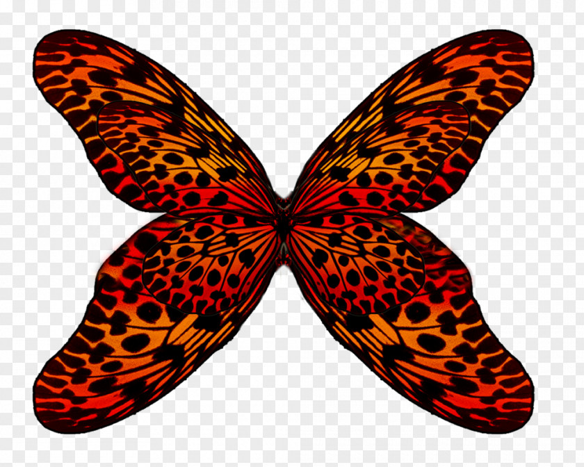 Wings Butterfly Clip Art PNG