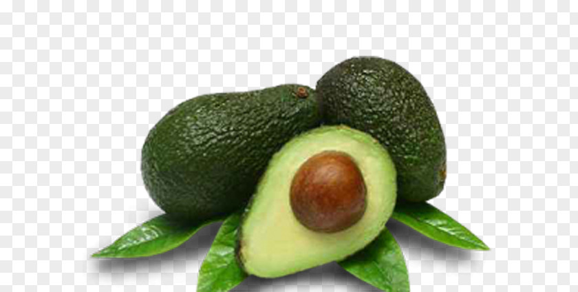 Avocado With Leaves Shot Put Hass High-definition Video Television Display Resolution Wallpaper PNG