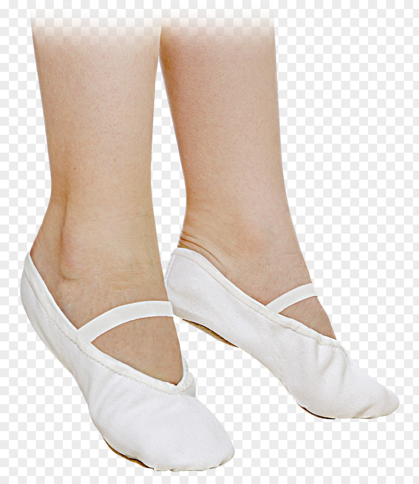 Ballet Shoe Dancer Pointe Technique PNG