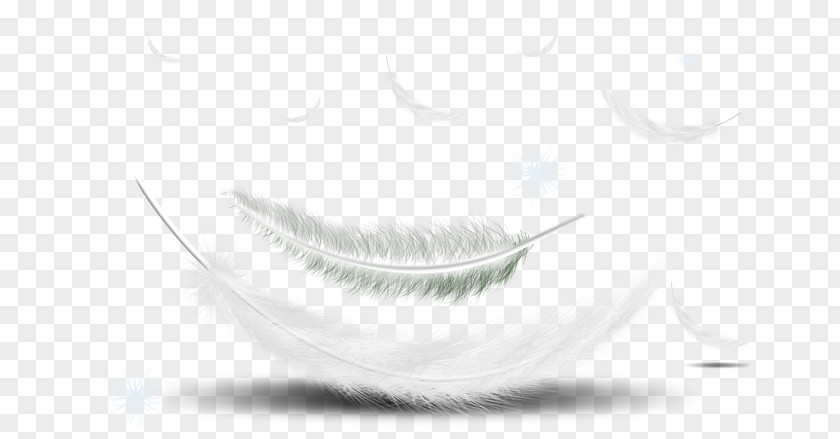 Feather Black And White Download Clip Art PNG