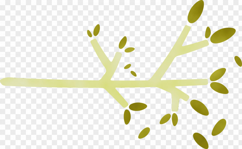 Twig Plant Stem Leaf Yellow Computer PNG