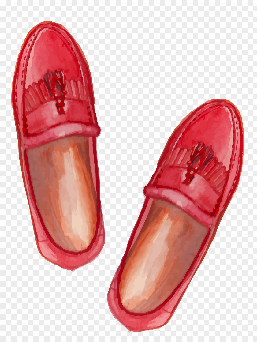 Vector Shoes Slipper Shoe Icon PNG