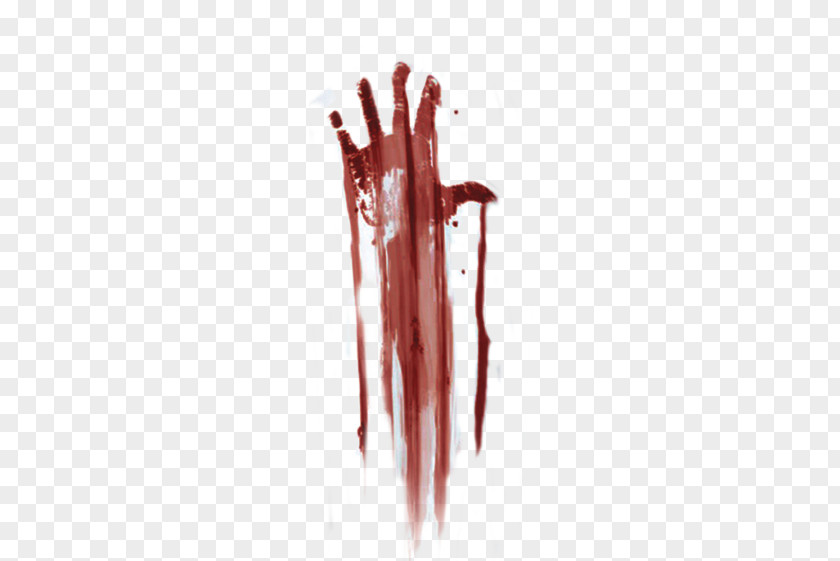 Blood Palm PNG palm clipart PNG
