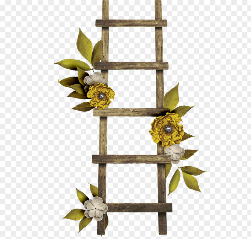 Stairs Ladder Wood PNG