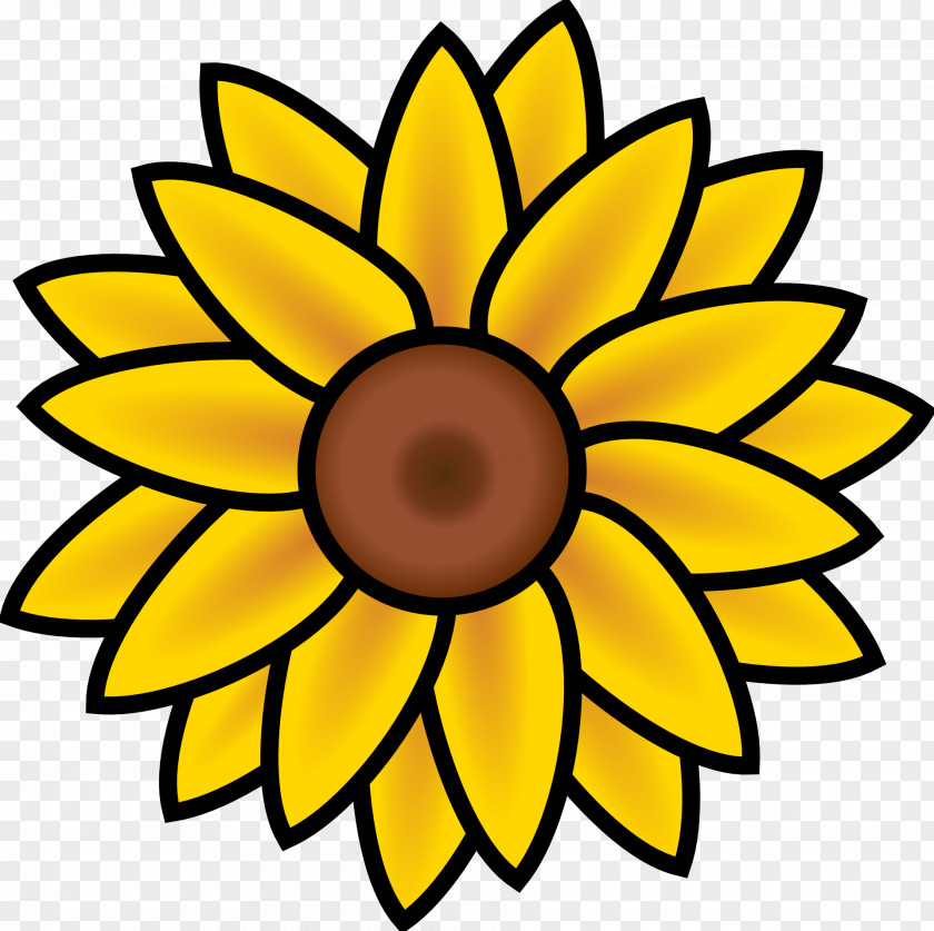 Sunflower Common Coloring Book Seed Plant Drawing PNG