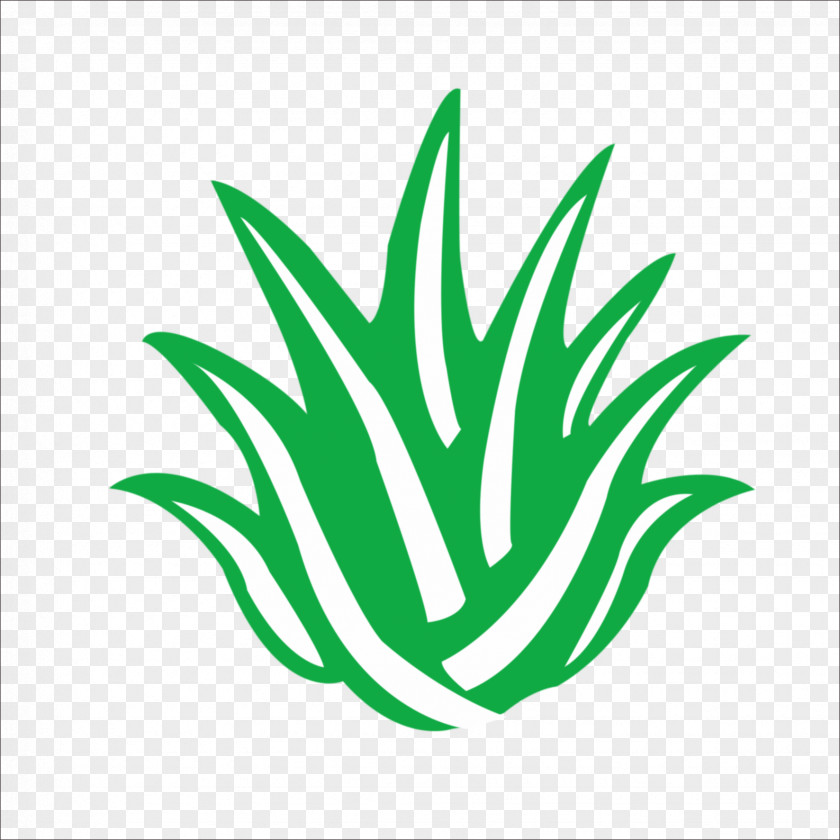 Aloe Vera Logo Icon PNG
