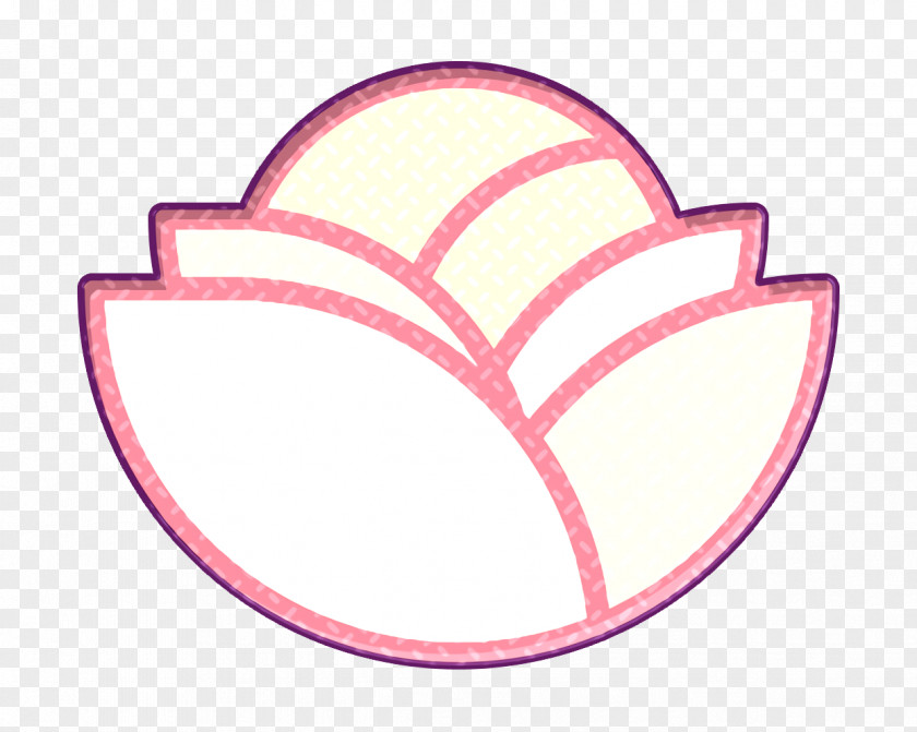 Cabbage Icon Food And Restaurant Fruits Vegetables PNG