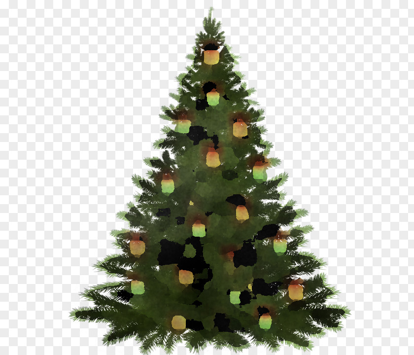 Christmas Tree PNG