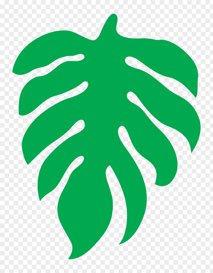 Leaf Clip Art Green Light Plant Stem PNG