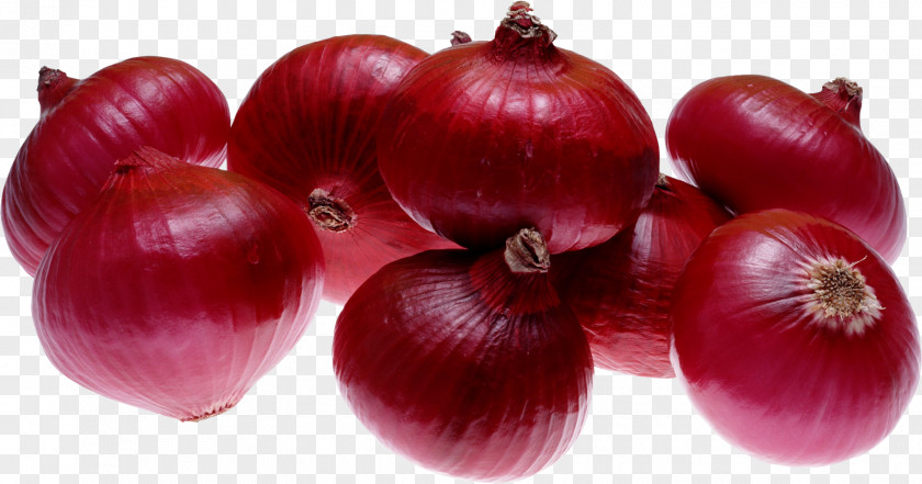 Onion India Red French Soup Organic Food PNG