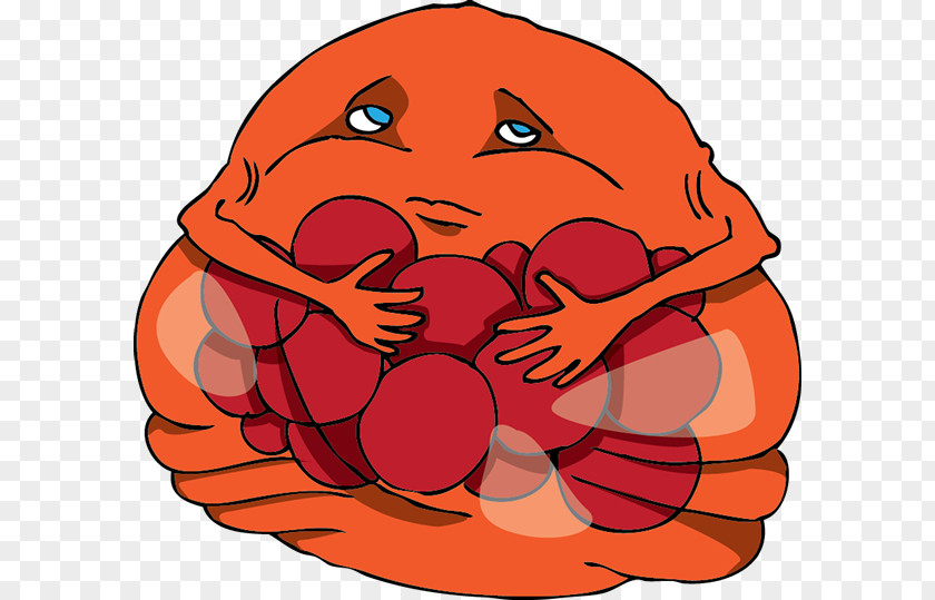 Pumpkin Cell Biology Nose Clip Art PNG