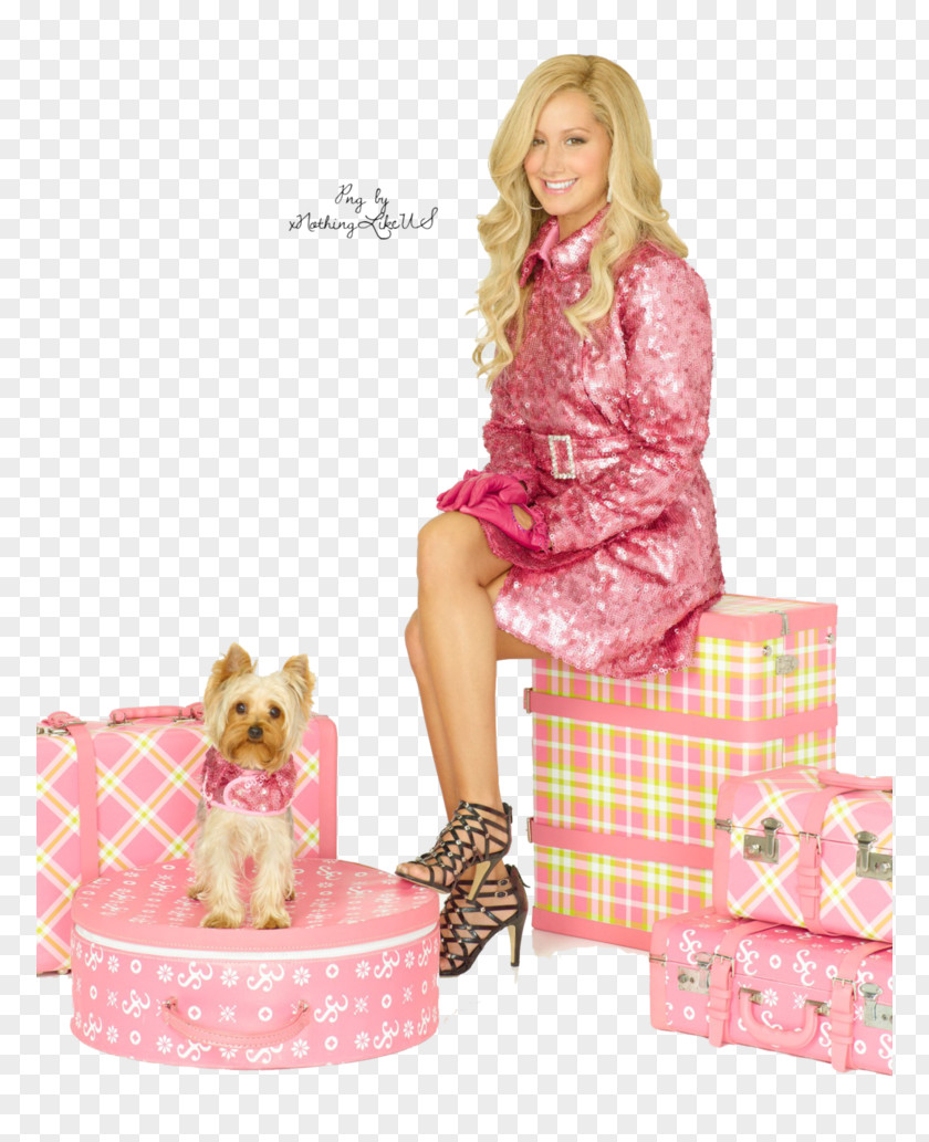 Sharpay Evans High School Musical Sharpay's Fabulous Adventure Disney Channel PNG