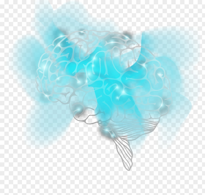 Vector Flash Brain PNG