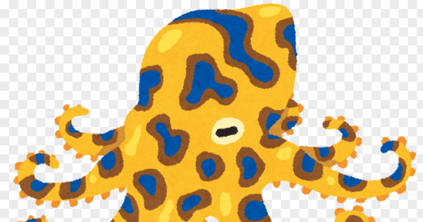 Blue-ringed Octopus Cephalopod Illustration Seafood PNG