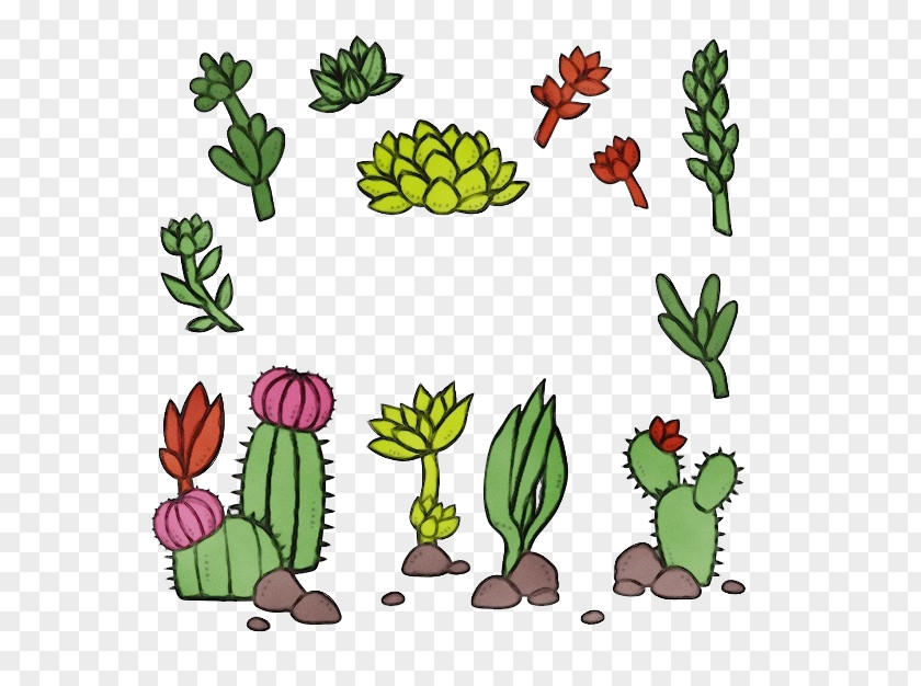 Cactus PNG