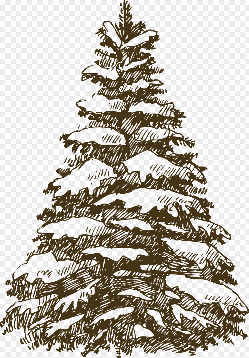Christmas Tree Vector Fir Ornament Illustration PNG
