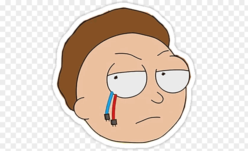 Morty Smith Rick Sanchez Shouko Nishimiya Sinon PNG