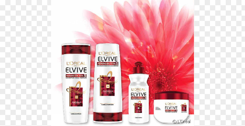 Newspaper Ad Elvive Hair Conditioner L'Oréal Shampoo PNG