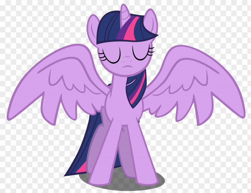 Purple Princess Twilight Sparkle Pinkie Pie Rainbow Dash Winged Unicorn Magical Mystery Cure PNG