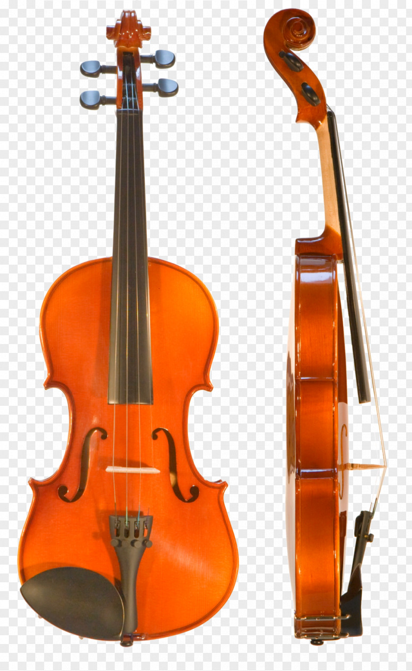 Violin Stradivarius Cremona Amati Cello PNG