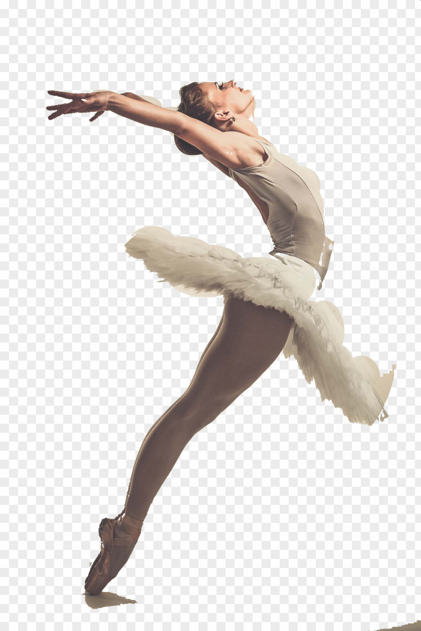 Ballet Beauty Dancer Performance PNG